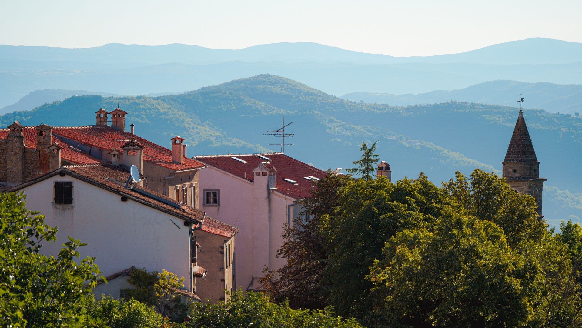 A walled Istrian hill town above terraced vineyards in soft light