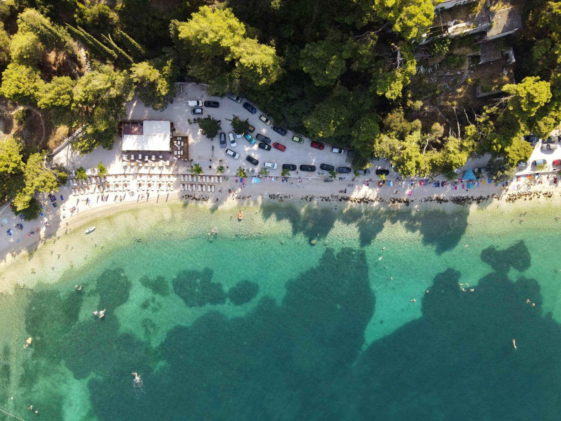 A turquoise Dalmatian beach cove with sunbeds and pines, from directly above